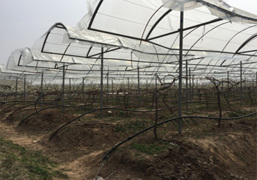Proyecto de riego por goteo fotovoltaico de 7,5 kW en Xuzhou