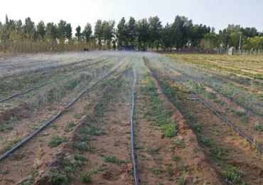 proyecto de demostración de riego de tierras agrícolas en el norte de shaanxi